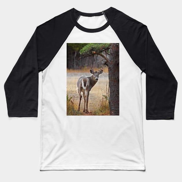 Gotcha! - White-tailed Deer Baseball T-Shirt by Jim Cumming